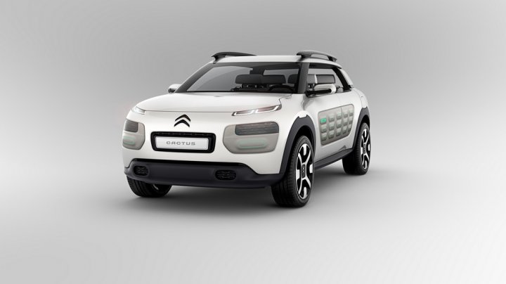 citroen-cactus